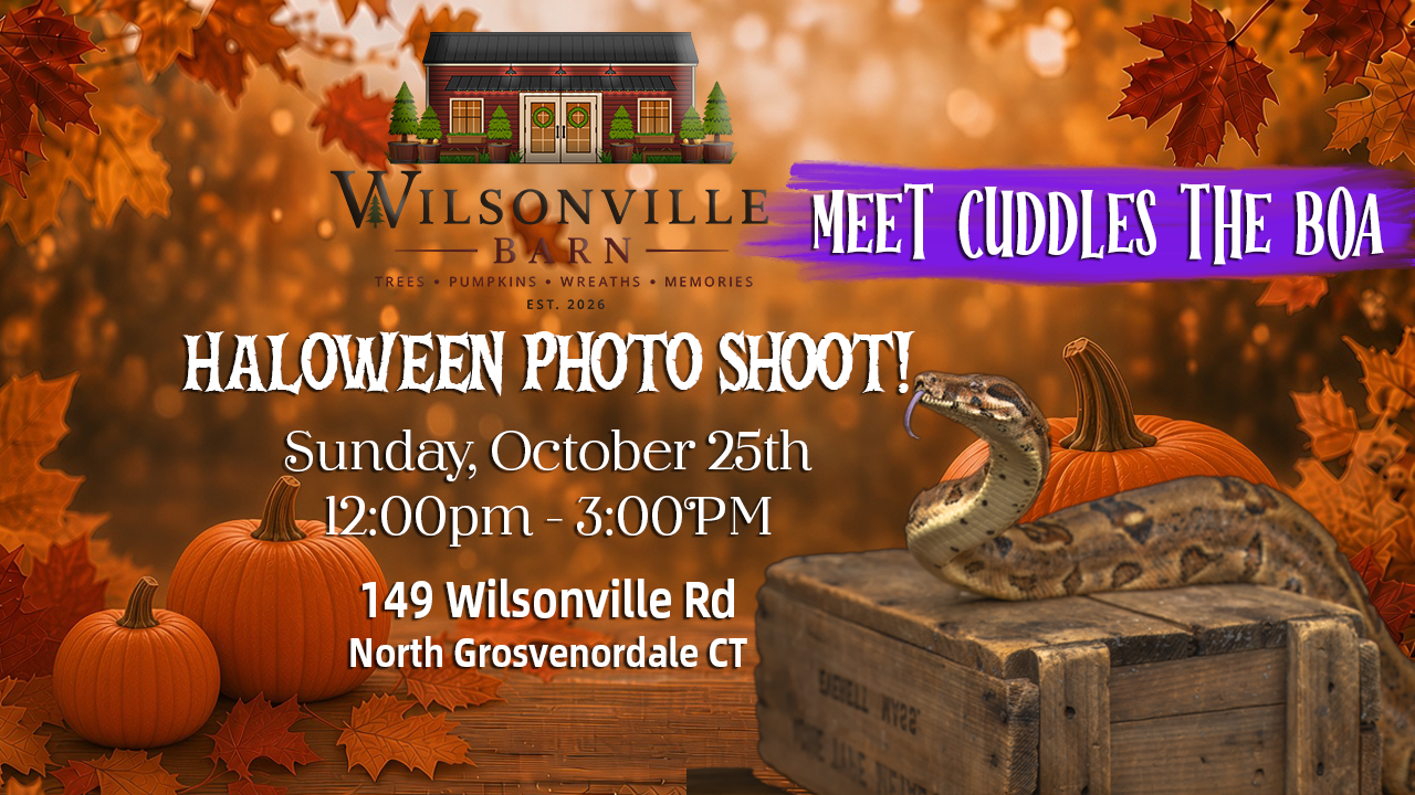 10/25/26 Halloween Photoshoot - Meet and Greet Cuddles the Boa
